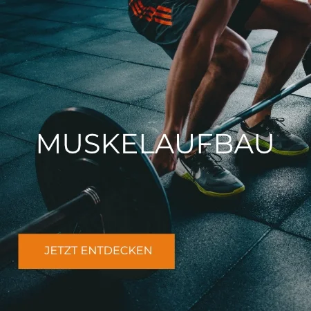 Muskelaufbau