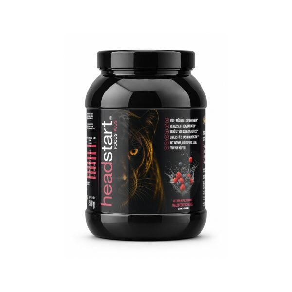 Headstart Focus Plus 1500g Pulverdose Waldbeere