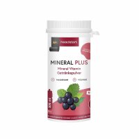 Headstart Mineral Plus Getränkepulver Dose 300g Schwarze Johannisbeere