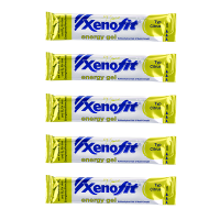 Xenofit Energy Gel 5er Pack Berry