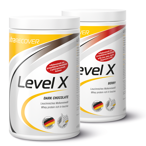 Ultrasports Level X Recovery 440g Dose Beeren (Berry)